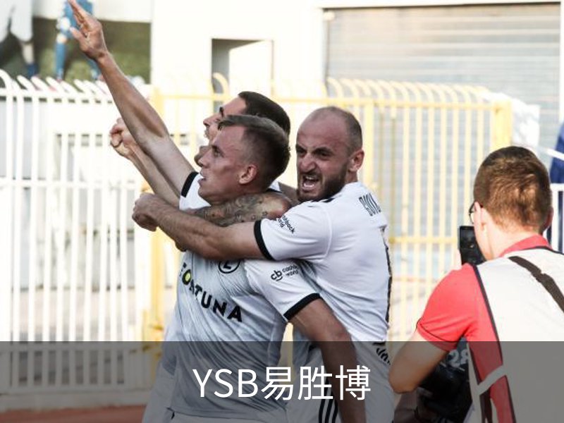 YSB易胜博简介